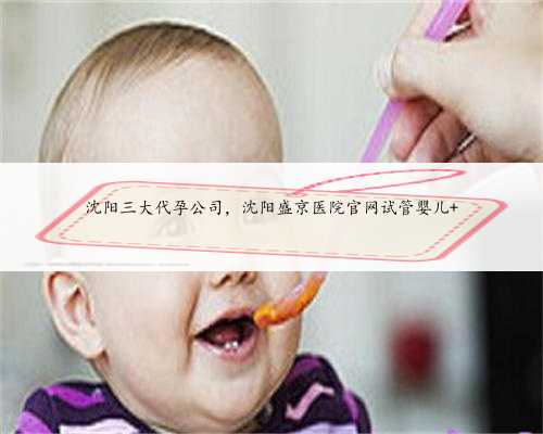 沈阳三大代孕公司，沈阳盛京医院官网试管婴儿 
