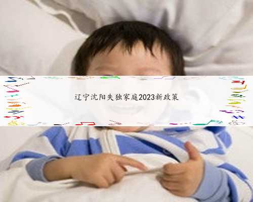辽宁沈阳失独家庭2023新政策