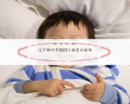 辽宁锦州市2023三胎有补贴吗