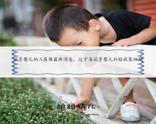 试管婴儿纳入医保最新消息，辽宁省试管婴儿补贴政策细则