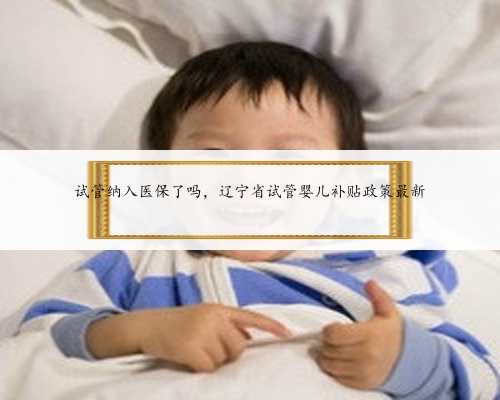 试管纳入医保了吗，辽宁省试管婴儿补贴政策最新