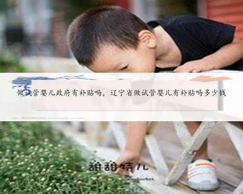 做试管婴儿政府有补贴吗，辽宁省做试管婴儿有补贴吗多少钱