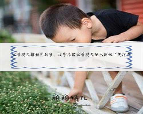 试管婴儿报销新政策，辽宁省做试管婴儿纳入医保了吗现在