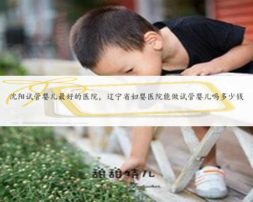 沈阳试管婴儿最好的医院，辽宁省妇婴医院能做试管婴儿吗多少钱